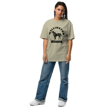Equestrian Collegiate - Oversized faded t-shirt - Wellington